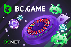 Understanding the BCGame India Privacy Policy