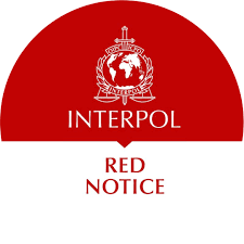 Understanding the Role of Red Notice Removal Lawyers 1340015629