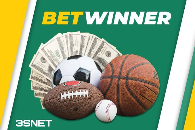 BetWinner Login Process A Comprehensive Guide 1558114521