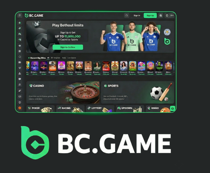Exploring BC.Game A Comprehensive Guide to the Online Crypto Casino