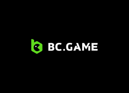Payment Options at BC.Game A Comprehensive Guide Payment Options at BC.Game A Comprehensive Guide